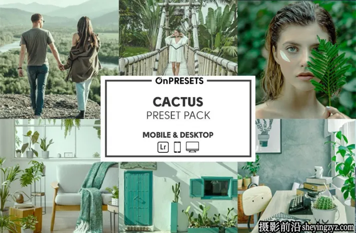 网红风格人像清新绿色调LR预设ACR调色预设 OnPresets -CACTUS