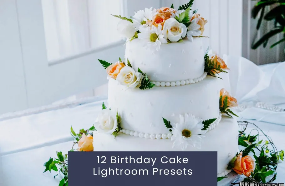 生日蛋糕婚礼人像Lightroom预设 Birthday Cake Lightroom Presets