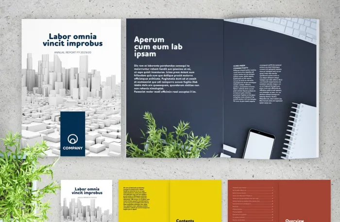 新的公司演示报告排版布局InDesign模板