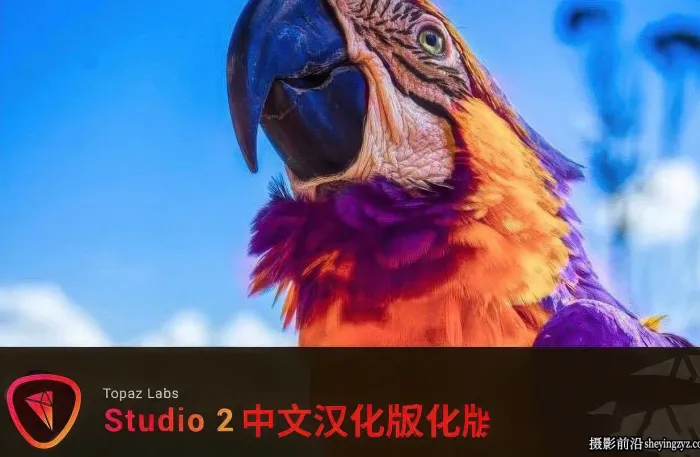 Topaz Studio 2.3.2WIN中文汉化版-创意特效PS滤镜插件