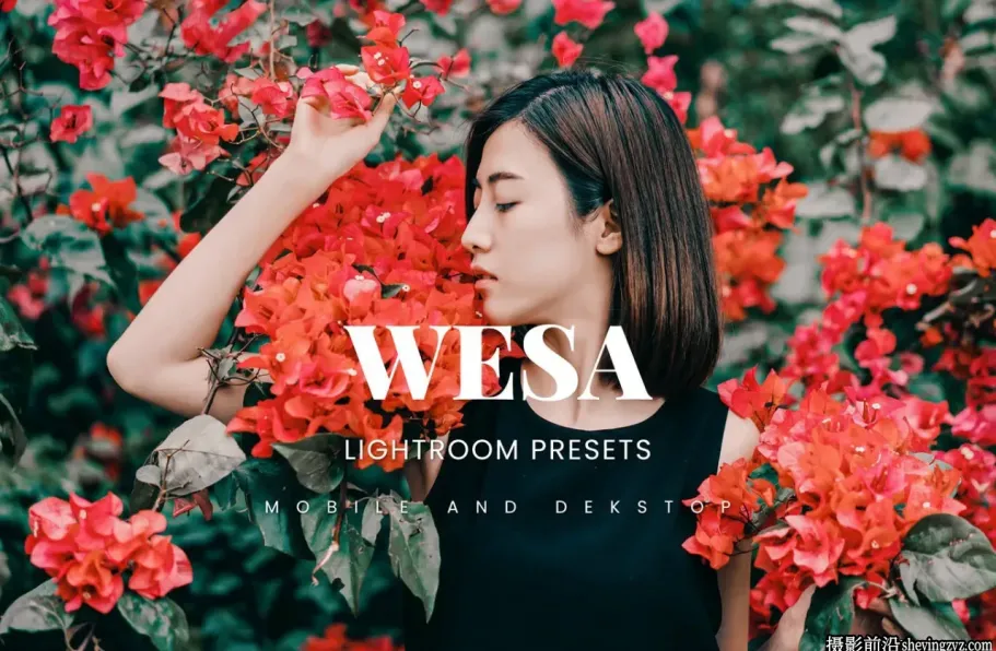 莫兰迪电影人像调色LR预设手机滤镜Artsyno wesa lightroom presets