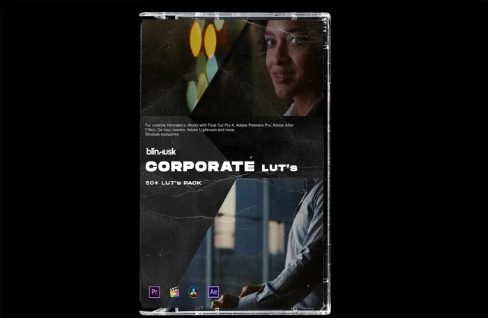 50个企业公司广告宣传片电影LUT预设 Blindusk - Corporate LUTs