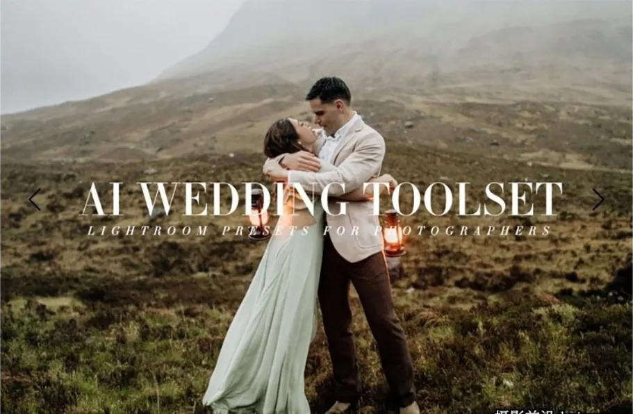 Archipelago--AI人工智能婚礼LR预设Archipelago-AI Wedding Toolset Presets