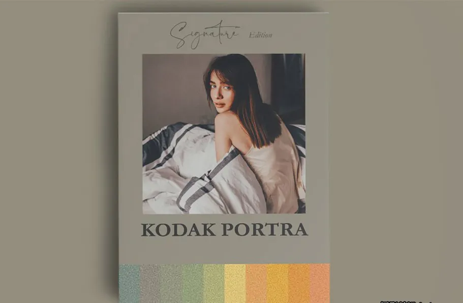 柯达Portra胶片人像手机版lr预设 KODAK PORTRA INSPIRED MOBILE LR