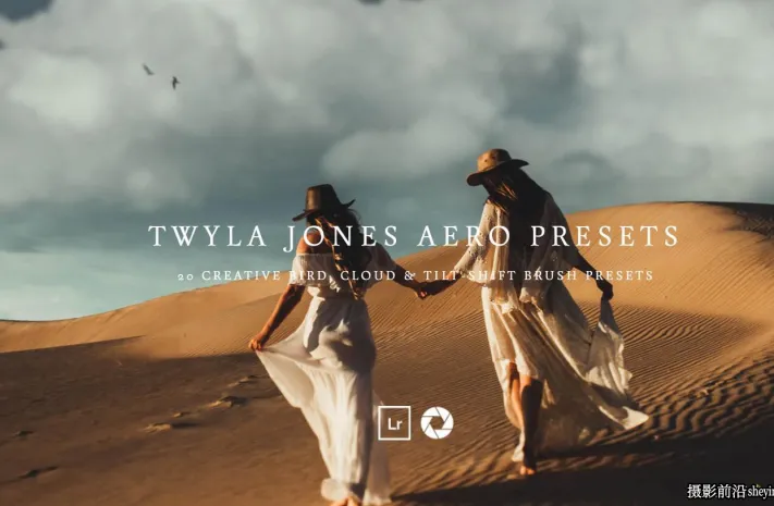 创意LR画笔预设 Meridian Presets -TWYLA JONES AERO PRESETS