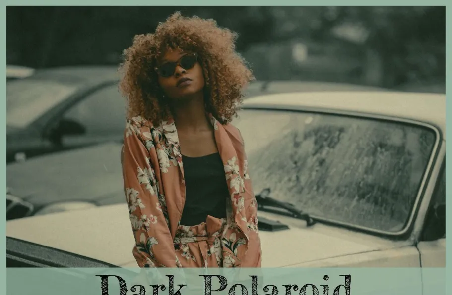 12种宝丽来电影胶片调色LR预设及LUT预设 Dark Polaroid Preset
