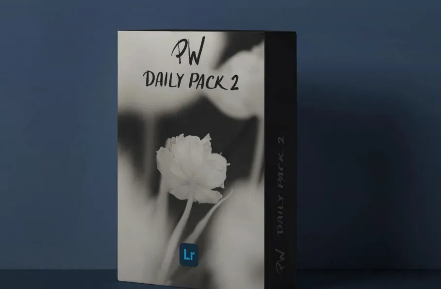 复古电影胶片美学预设 Polina Washington-PW DAILY PACK 2 Presets
