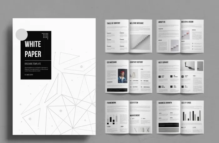 白皮书排版布局InDesign模板