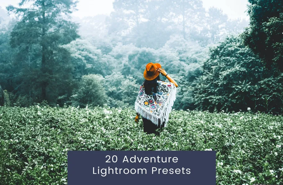 旅拍森系电影人像调色LR预设ACR预设 Adventure Lightroom Presets