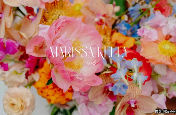 Marissa Kelly - 浪漫优雅柔和婚礼人像摄影调色Lightroom预设