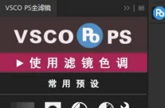 VSCO全滤镜PS调色插件面板|超全600多种VSCO胶片WINX64
