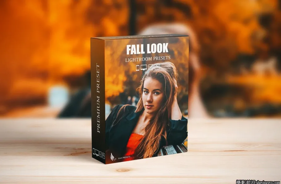 最佳秋季图像后期调色Llr预设及手机版lr预设 Best FALL PRESETS
