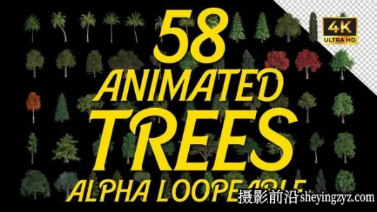AE模板- 58种树木动画视频素材58 Animated Trees Alpha Loop Pack 4K