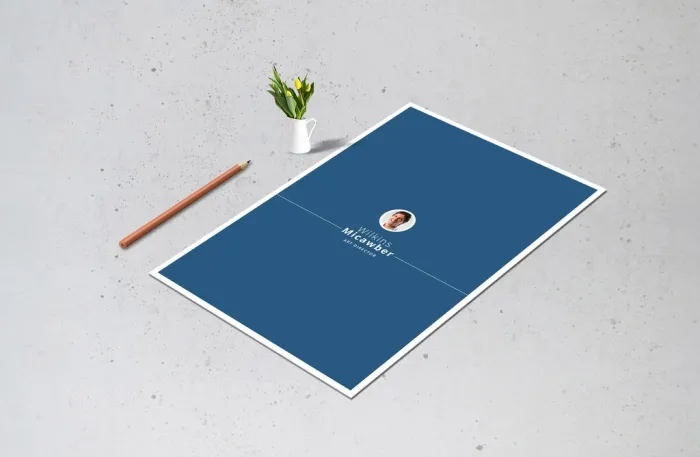 简洁的简历和求职信布局InDesign模板