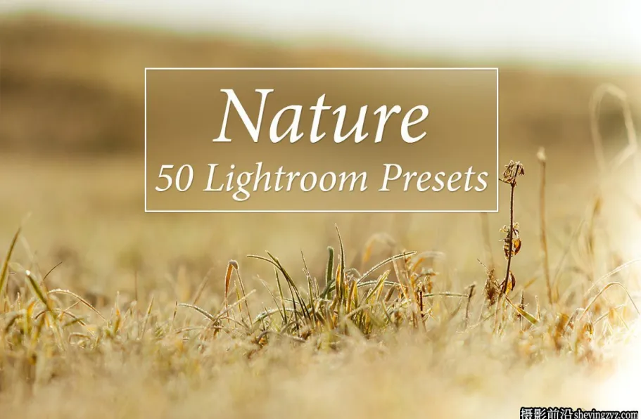 50种自然风光后期调色免费Lightroom预设 Nature Lightroom Presets