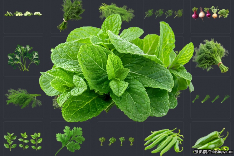52种沙拉配菜绿叶蔬菜透明PNG免扣素材 52xPNG