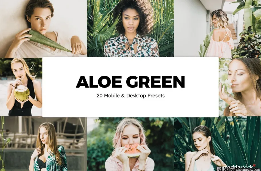 20个电影胶片调色LR/LUT预设Aloe Green Lightroom Presets & LUTs