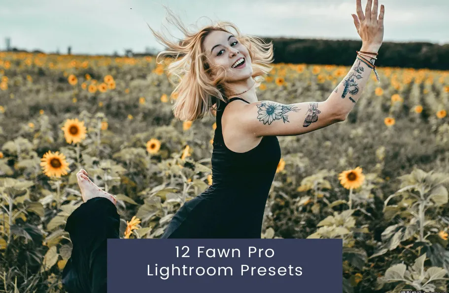 明亮胶片人像调色LR预设ACR调色预设 Fawn Pro Lightroom Presets
