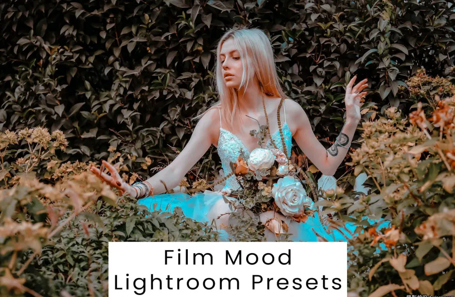 10种青橙色调情绪电影人像调色LR预设 Film Mood Lightroom Presets