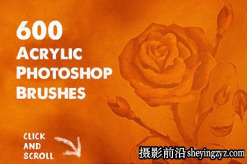 多达600多种适用于Photoshop丙烯酸绘画免费画笔笔刷素材