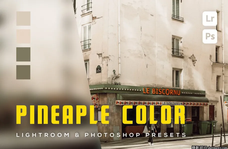 复古胶片色彩lr预设及手机lr预设Pineaple color Lightroom presets