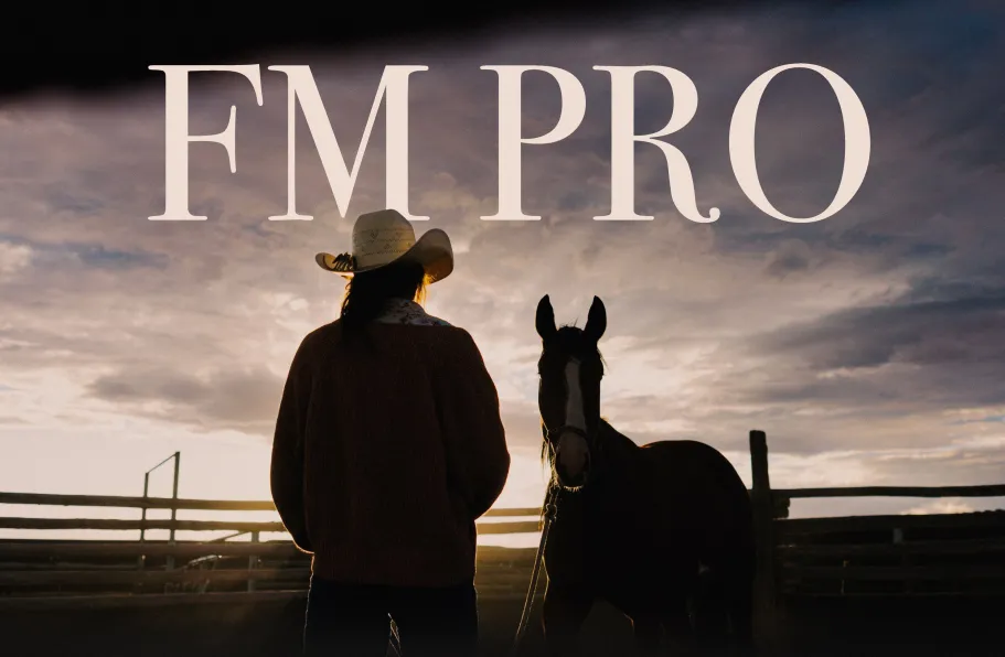优化色彩保真度Lightroom预Forrest Mankins -FM Pro Presets 2025