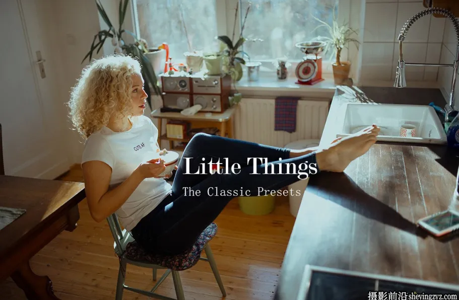 经典电影胶卷LR预设ACR预设 The Classic Presets Little Things Presets
