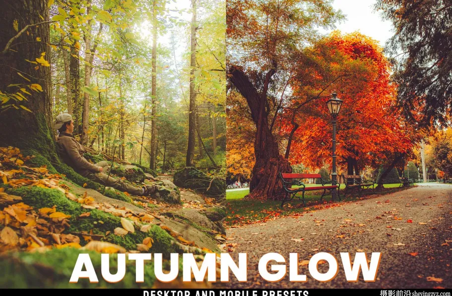 秋季风光人像lr预设及手机lr预设 Autumn Glow Lightroom Presets
