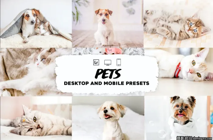 明亮宠物摄影后期调色Lightroom预设 Pets Lightroom Presets