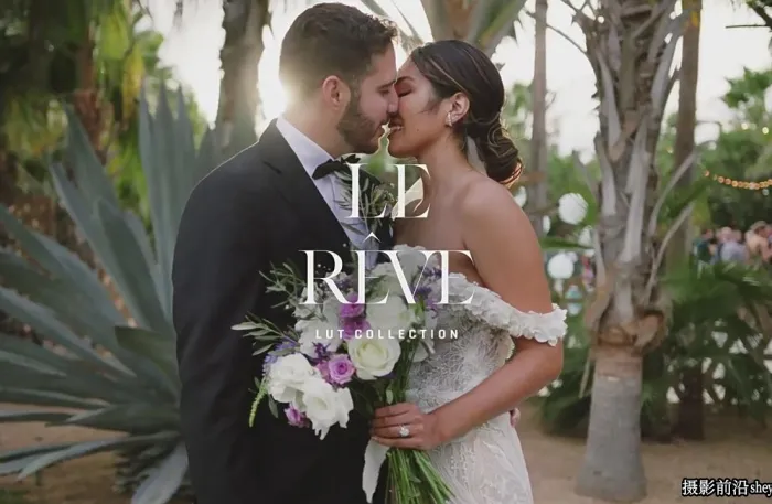 6个清新优雅奢华婚礼人像V-log灰片还原LUT调色预设Gamut-Le Reve